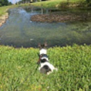 Meet your Posher, Magaly